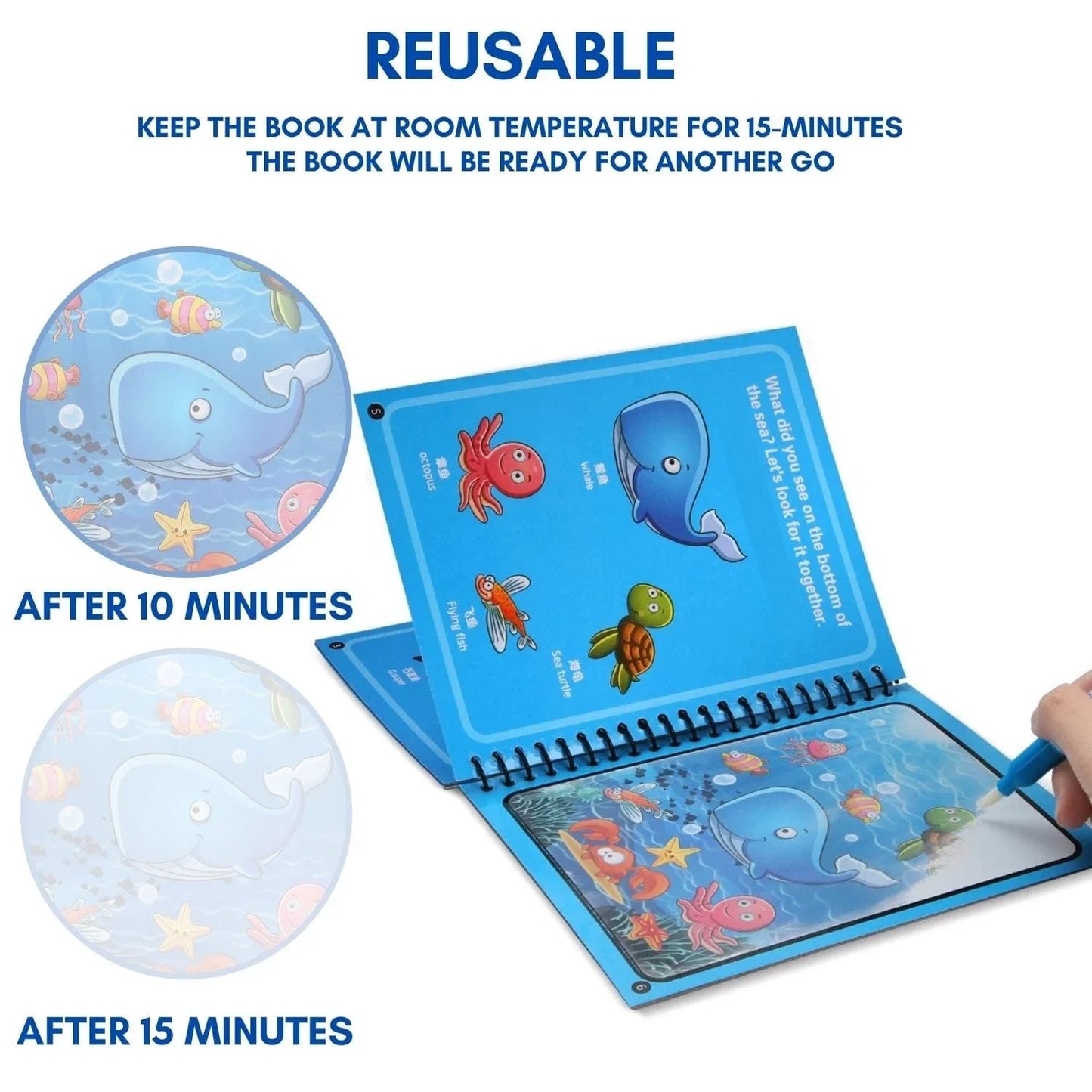 đ„ Reusable Magic Water Books (Pack of 4)
