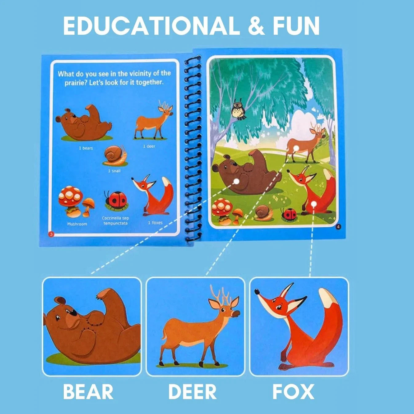đ„ Reusable Magic Water Books (Pack of 4)